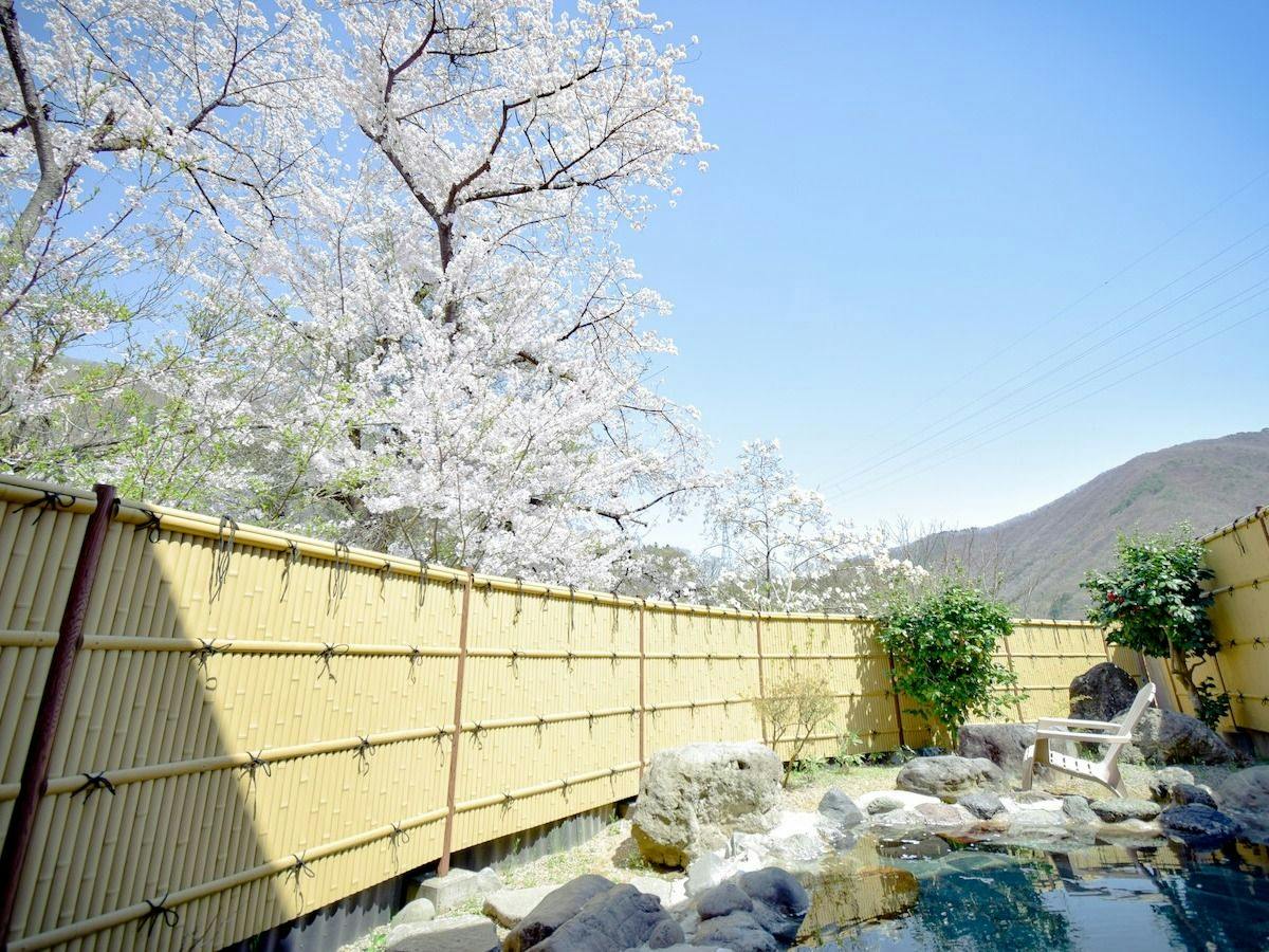 Aizu Ashinomaki Onsen Ashinomaki Prince Hotel