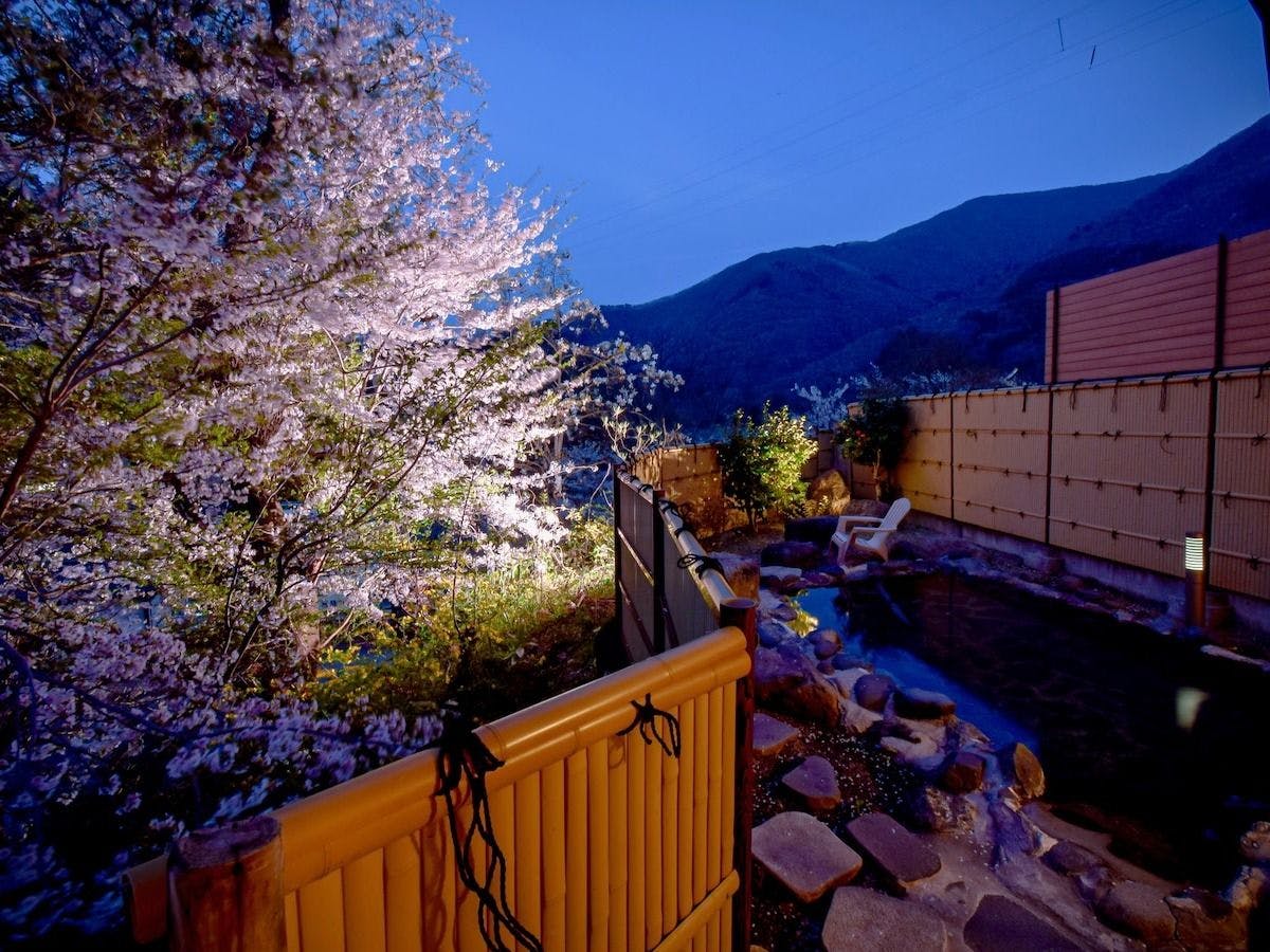 Aizu Ashinomaki Onsen Ashinomaki Prince Hotel