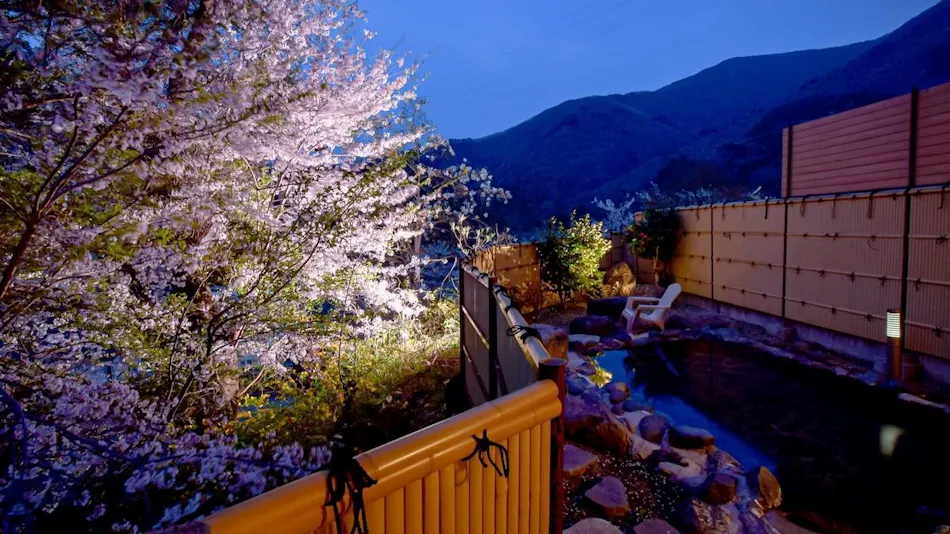 Aizu Ashinomaki Onsen Ashinomaki Prince Hotel