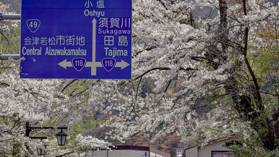 Aizu Ashinomaki Onsen Ashinomaki Prince Hotel