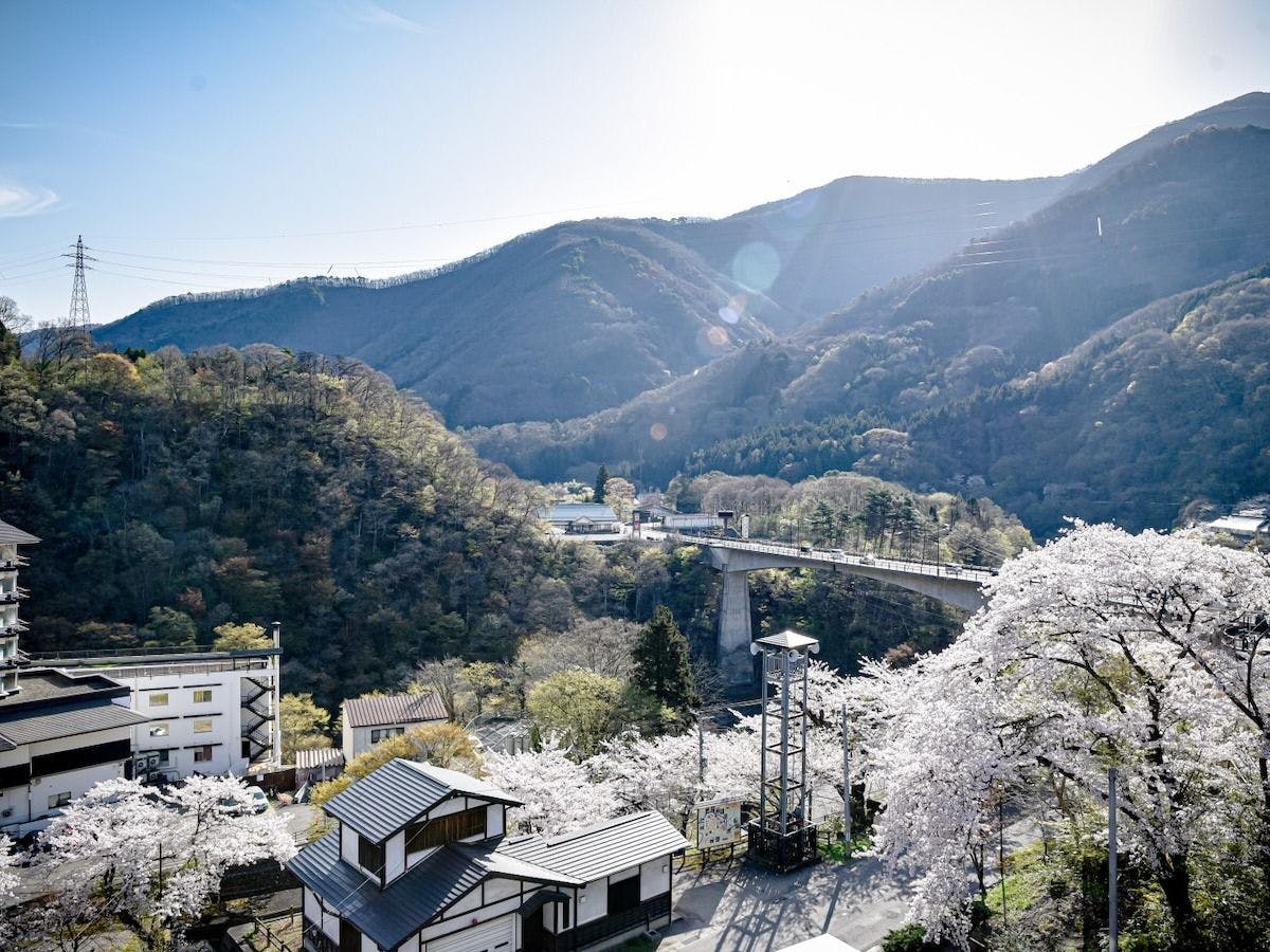 Aizu Ashinomaki Onsen Ashinomaki Prince Hotel
