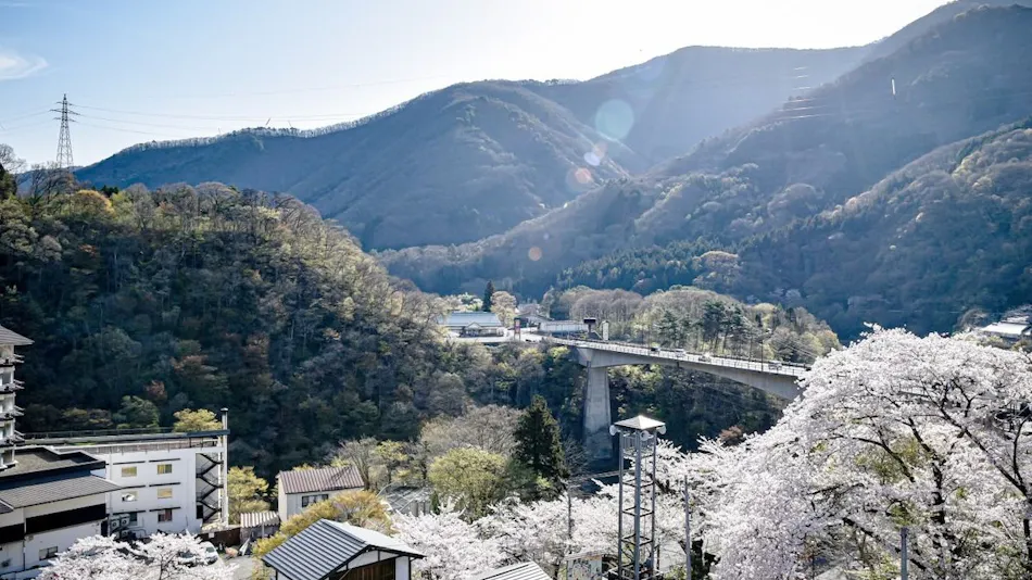 Aizu Ashinomaki Onsen Ashinomaki Prince Hotel