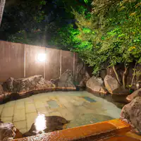 ออนเซ็นกลางแจ้งยามค่ำคืนที่มีแสงไฟประดับ