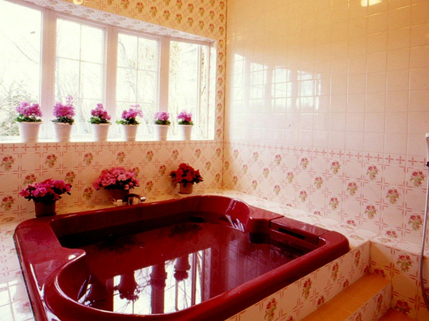 Country House Paddington