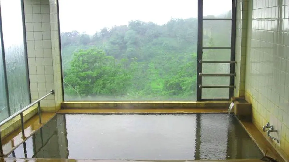 Seki Onsen Tomiya Ryokan