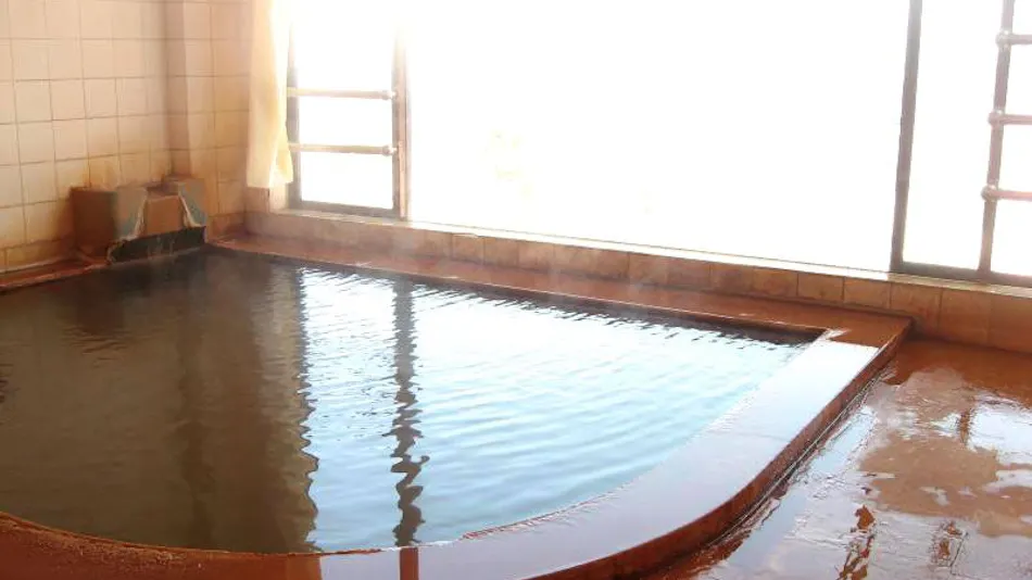 Seki Onsen Tomiya Ryokan
