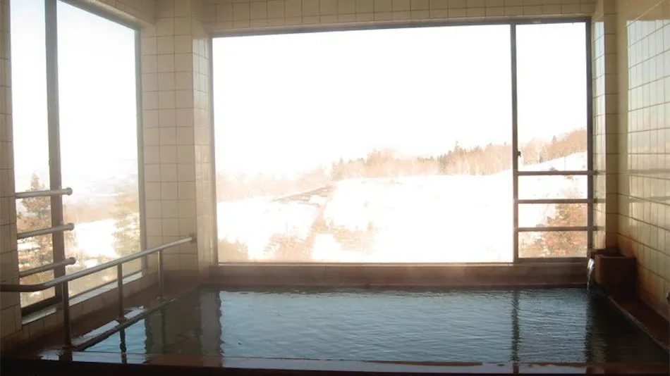 Seki Onsen Tomiya Ryokan
