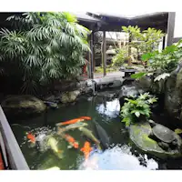 館內情況