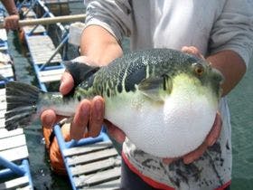 ホテル松泉閣ろまん館