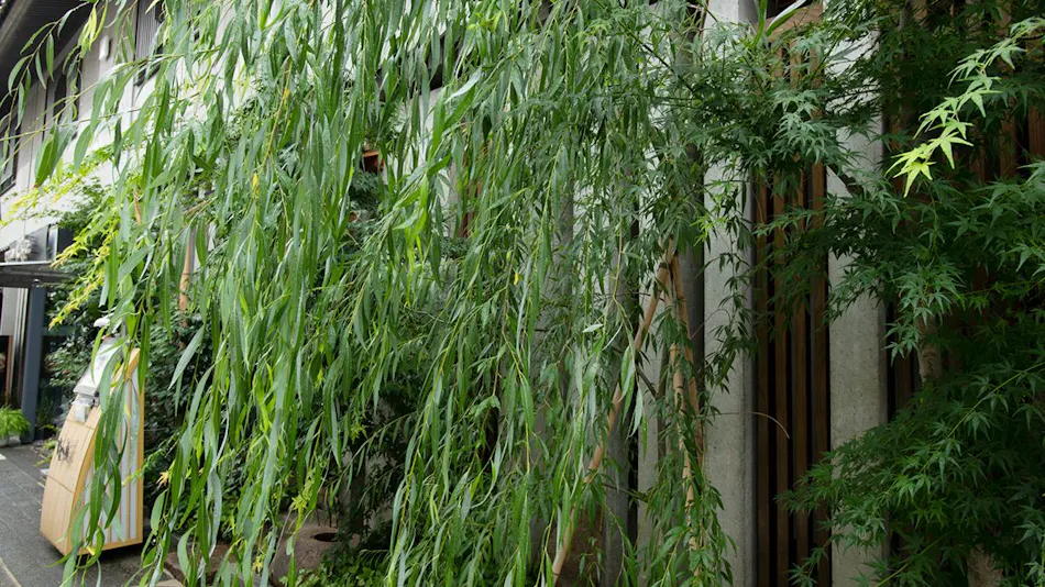 Ryokan Kouro