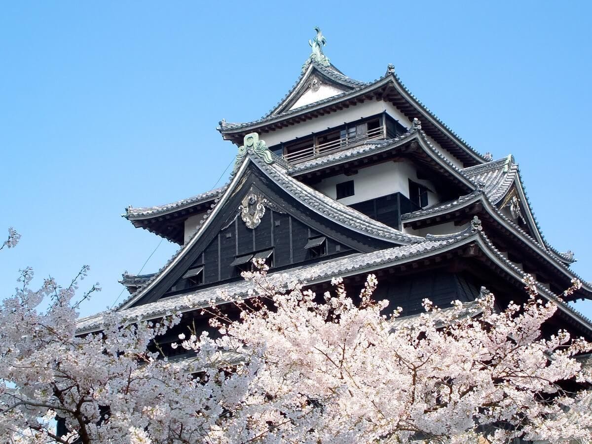 Matsue Castle - Musim Semi