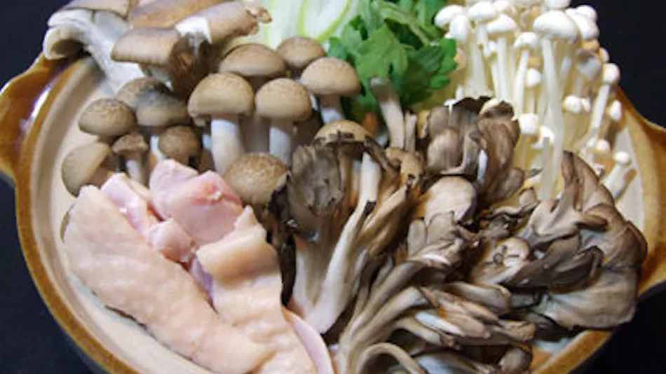 Hanegawa Onsen Kadoya Ryokan