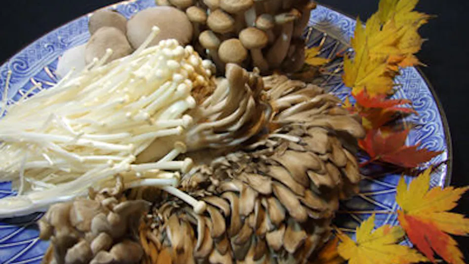 Hanegawa Onsen Kadoya Ryokan