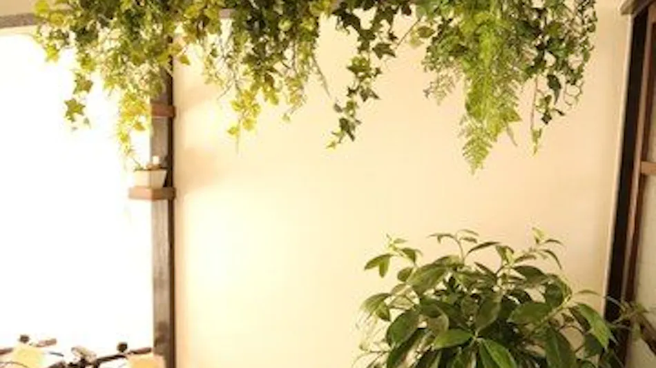 Guest House E-nine