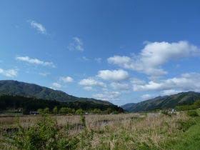 グリーンパーク想い出の森バンガロー