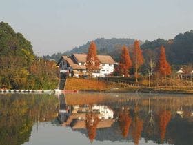 湖畔の宿　つばきもと