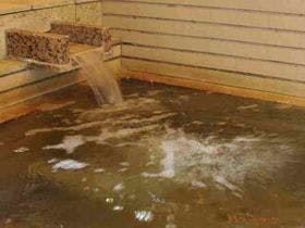 湖畔の宿　つばきもと