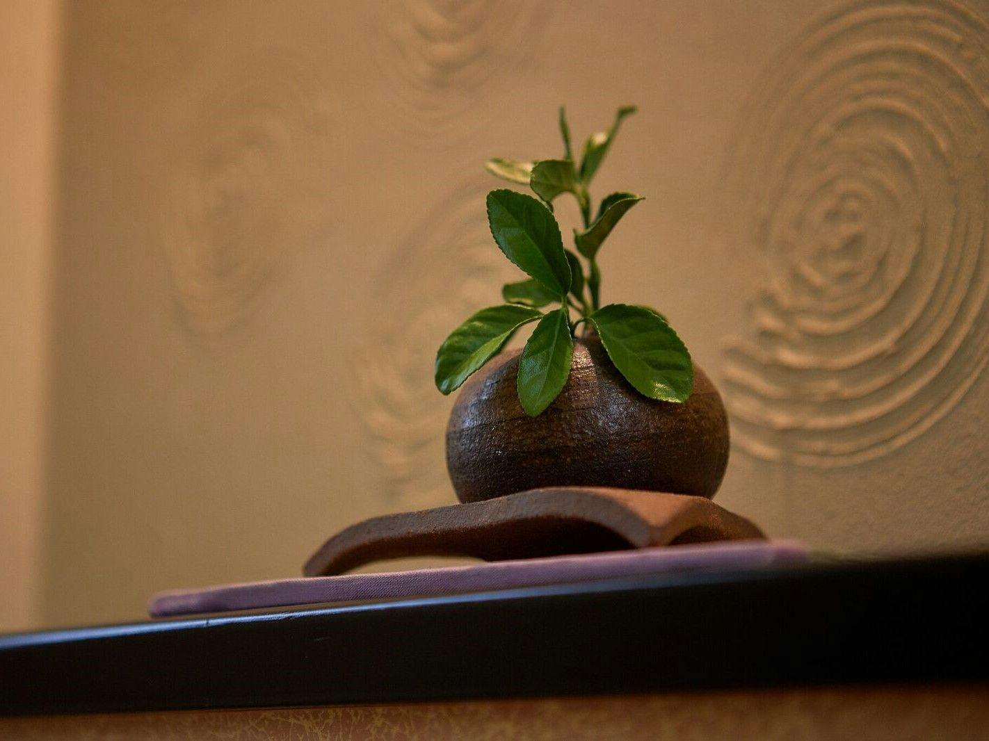 Aji no Yado Hanatsubaki