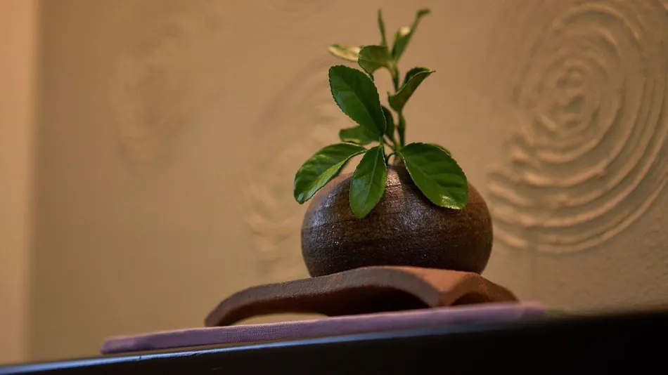 Aji no Yado Hanatsubaki