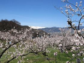 粋な湯の宿　山風荘