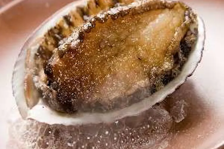 食べる温泉宿 大漁 宿泊予約なら Yahoo トラベル 食べる温泉宿 大漁 宿泊予約なら Yahoo トラベル