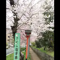 เส้นทางไปโรงเรียนซากุระ