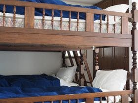 オリベックス　うちのみ