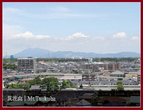 高層階からの眺め