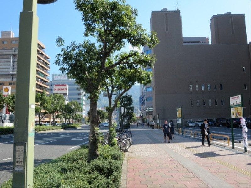 คำแนะนำ