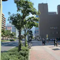 คำแนะนำ