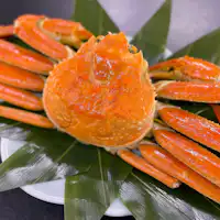 Kepiting Salju Jepang