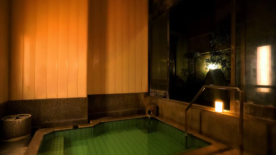 Tsukioka Onsen Hotel Hisagoso