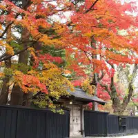 บ้านซามูไรใบไม้เปลี่ยนสี