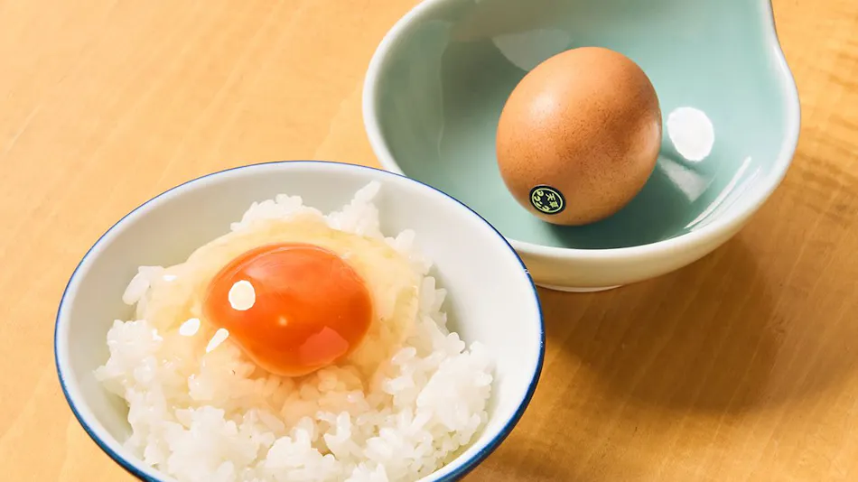 Hotel Alegria Gardens Amakusa