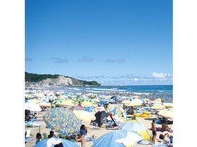 伊勢えび・あわびが専門の宿 大野荘