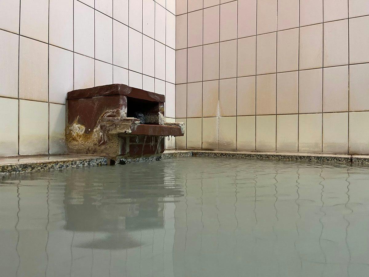 Onsen Ryokan Mitake