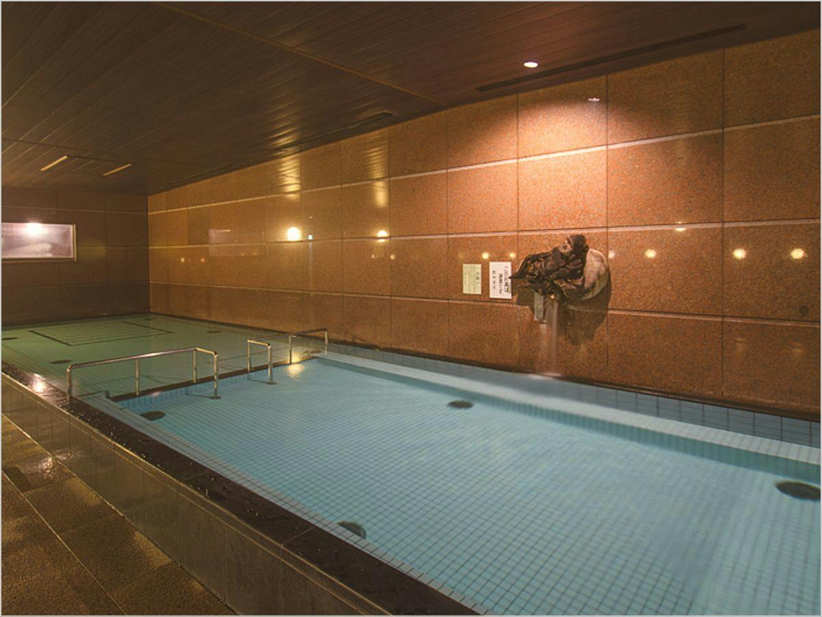 Fukui Academia Hotel