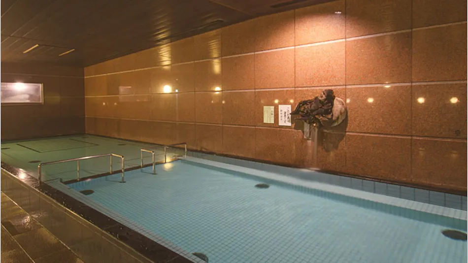 Fukui Academia Hotel