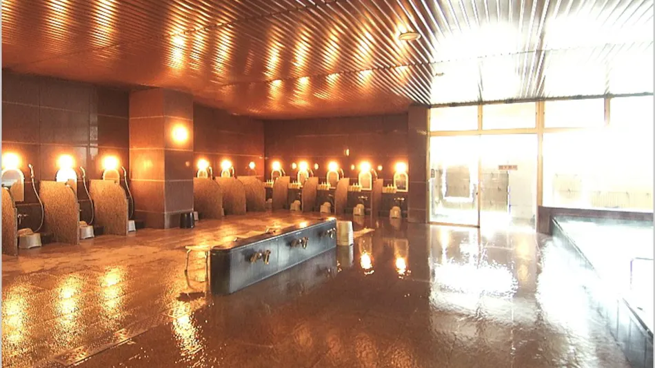 Fukui Academia Hotel