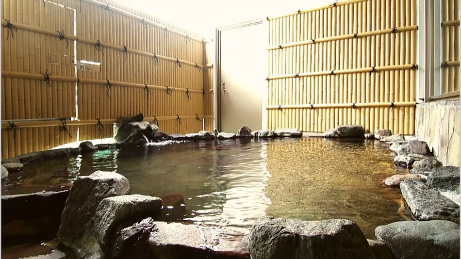 Fukui Academia Hotel