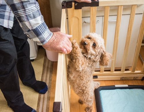 ペットと泊まろう♪ 和室10畳