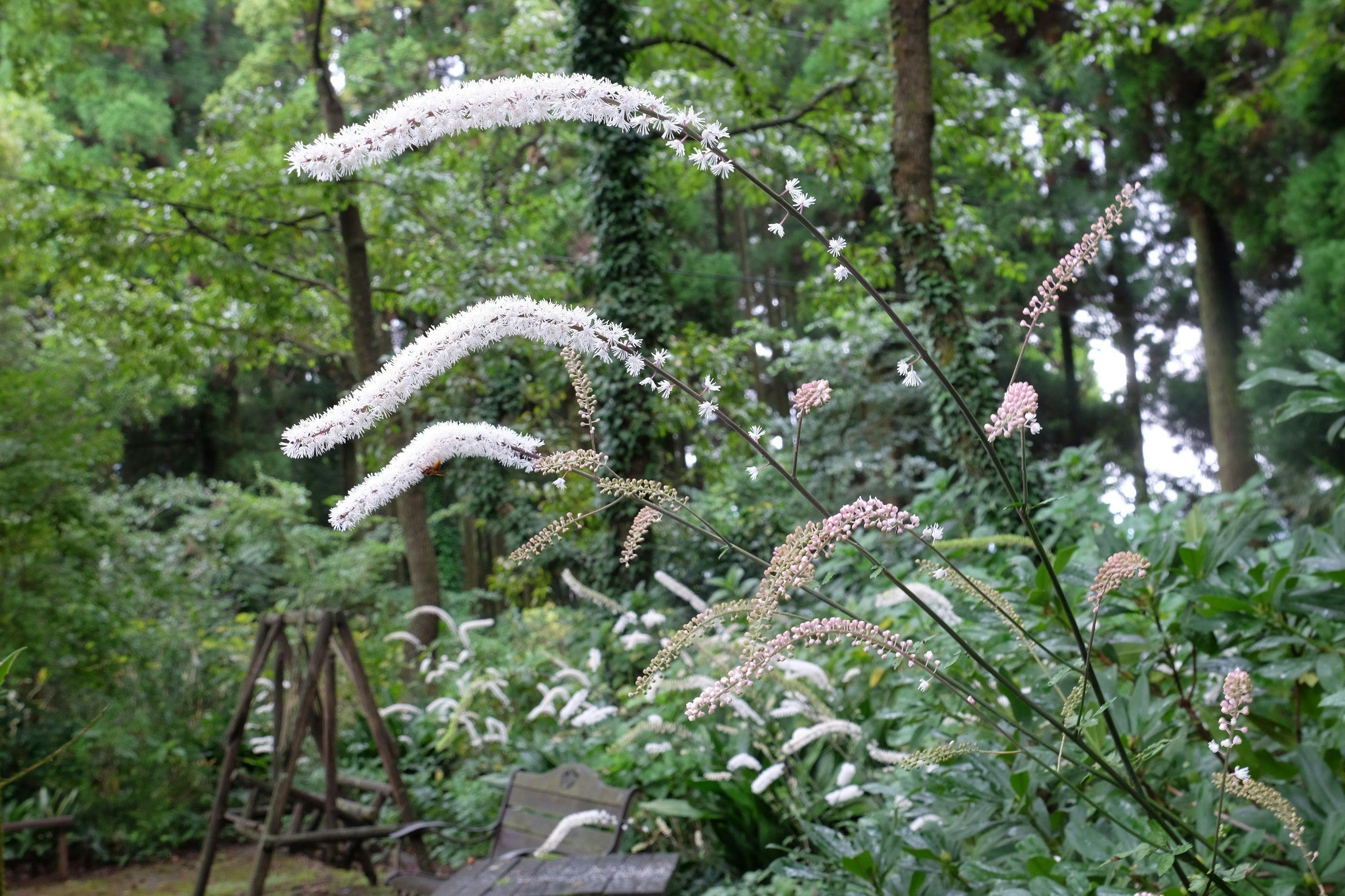 Garden Villa Minamiaso