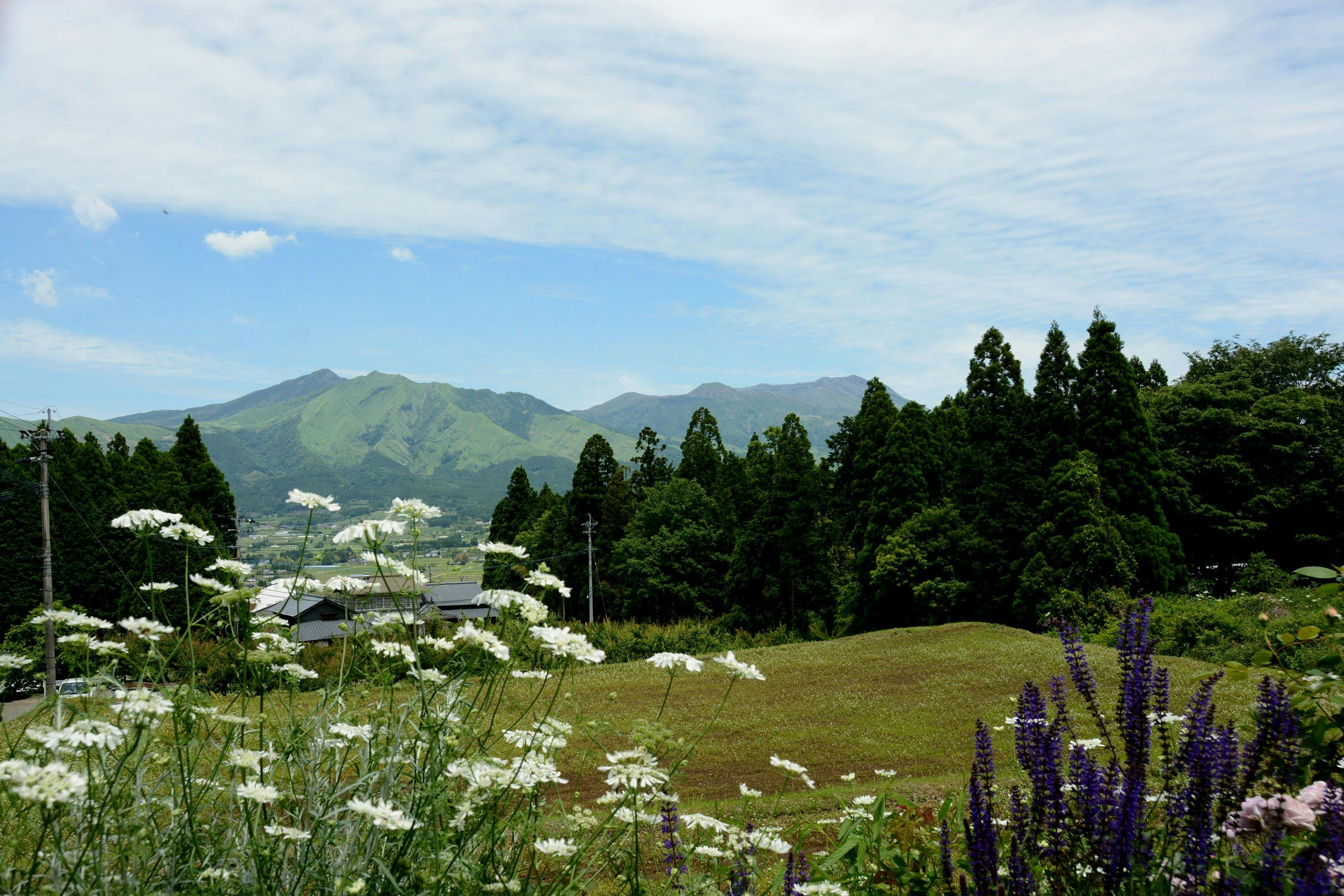 Garden Villa Minamiaso
