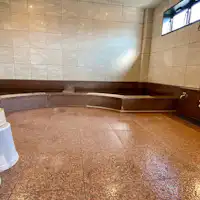 Pemandian umum besar dengan sauna (khusus pria)