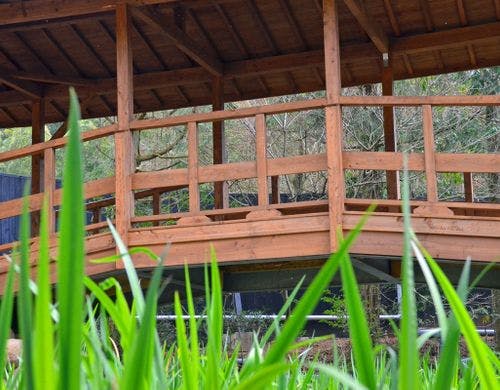 そのぎ茶温泉里山の湯宿 つわぶきの花 宿泊予約なら Yahoo トラベル