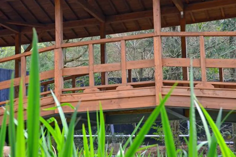 そのぎ茶温泉里山の湯宿 つわぶきの花 宿泊予約なら Yahoo トラベル そのぎ茶温泉里山の湯宿 つわぶきの花 宿泊予約なら Yahoo トラベル