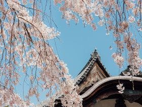 ホテルリブマックス京都五条