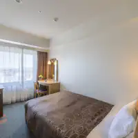 สแตนดาร์ดซิงเกิล