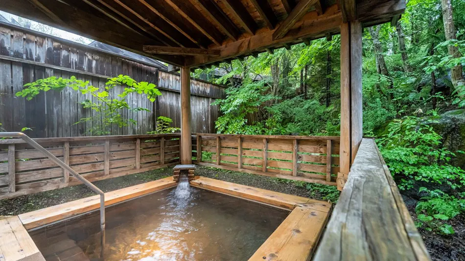Appi Kogen Mori no Hotel