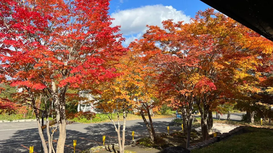 Appi Kogen Mori no Hotel